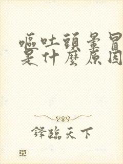 呕吐头晕冒虚汗是什么原因