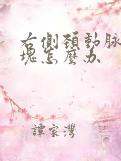 右侧颈动脉有斑块怎么办