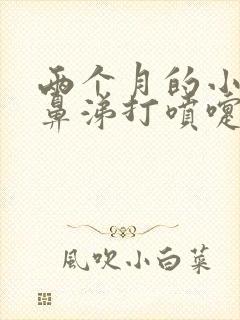 两个月的小狗流鼻涕打喷嚏怎么办