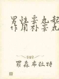 男性睾丸起什么作用补睾丸有用