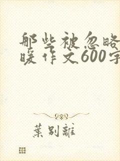 那些被忽略的温暖作文600字