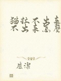 猫拉不出来也尿不出来怎么办