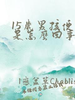 15岁男孩便血是怎么回事