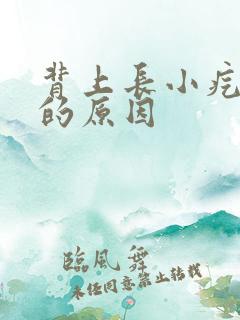 背上长小疙瘩痒的原因