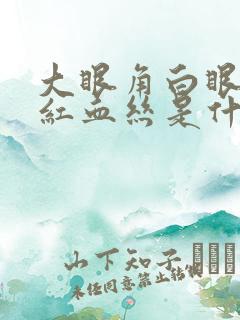 大眼角白眼球有红血丝是什么原因