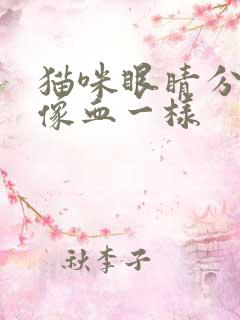 猫咪眼睛分泌物像血一样