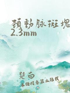 颈动脉斑块厚约2.3mm