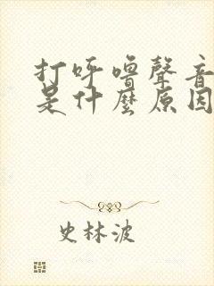 打呼噜声音很小是什么原因引起的