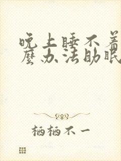 晚上睡不着有什么办法助眠