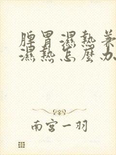 脾胃湿热兼肝胆湿热怎么办