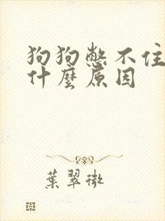 狗狗憋不住尿是什么原因