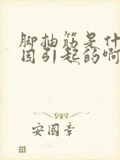 脚抽筋是什么原因引起的啊