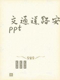 交通道路安全法ppt