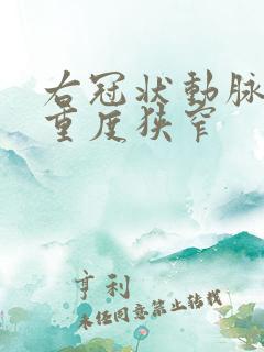 右冠状动脉远端重度狭窄