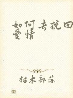 如何去挽回一段爱情