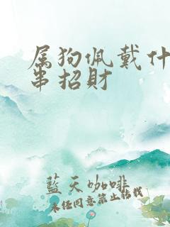 属狗佩戴什么手串招财