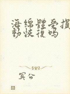 海绵体受损会自动恢复吗