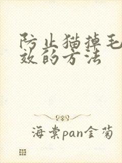 防止猫掉毛最有效的方法