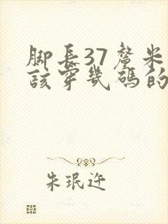 脚长37厘米应该穿几码的鞋