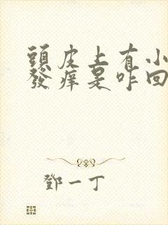 头皮上有小红疹发痒是咋回事?