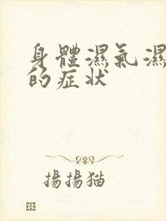 身体湿气湿热重的症状