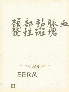 颈部动脉血管多发性斑块