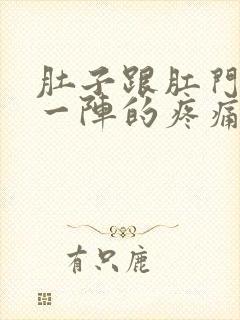 肚子跟肛门一阵一阵的疼痛