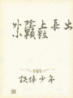 外阴上长出一些小颗粒