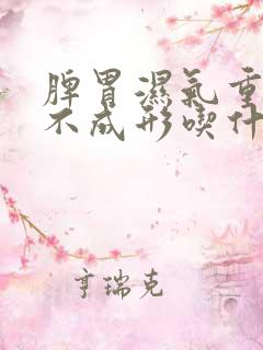 脾胃湿气重大便不成形吃什么中成药好