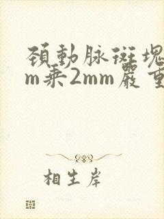 颈动脉斑块8mm乘2mm严重吗