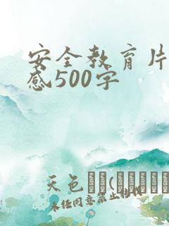 安全教育片观后感500字