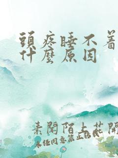 头疼睡不着想吐什么原因