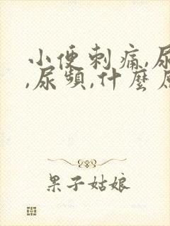 小便刺痛,尿急,尿频,什么原因引起