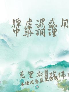 脾虚湿盛用什么中药调理