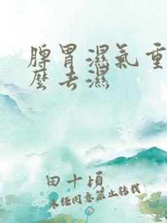 脾胃湿气重吃什么去湿