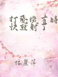 打飞机有时候很快就射了