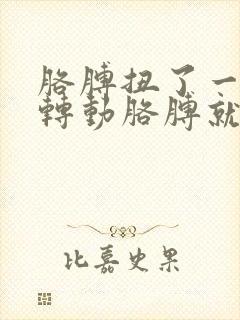 胳膊扭了一下,转动胳膊就痛怎么办