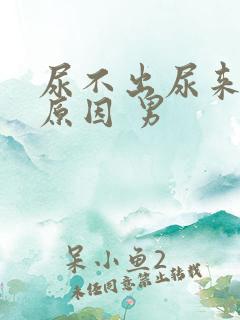 尿不出尿来什么原因 男