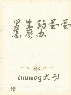 男生的蛋蛋流血怎么办