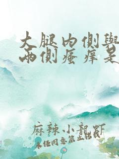 大腿内侧与阴囊两侧瘙痒是怎么了