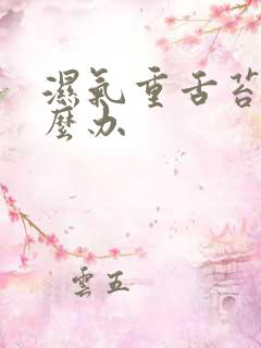 湿气重舌苔白怎么办