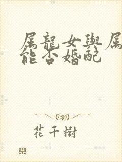 属龙女与属兔男能否婚配