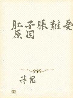 肚子胀难受什么原因