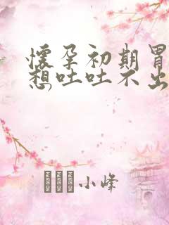 怀孕初期胃难受想吐吐不出来怎么办