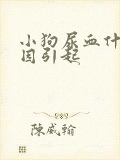 小狗尿血什么原因引起