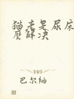 猫老是尿床上怎么解决