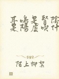 耳鸣是肾阴虚还是阳虚吃什么药