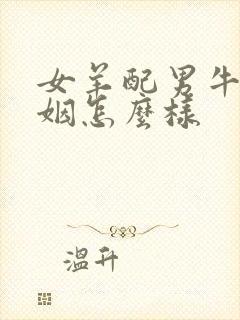 女羊配男牛的婚姻怎么样