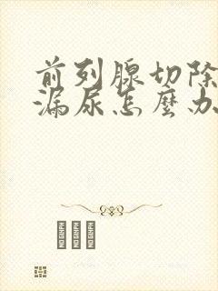 前列腺切除术后漏尿怎么办