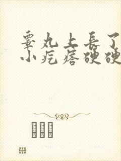 睾丸上长了一个小疙瘩硬硬的